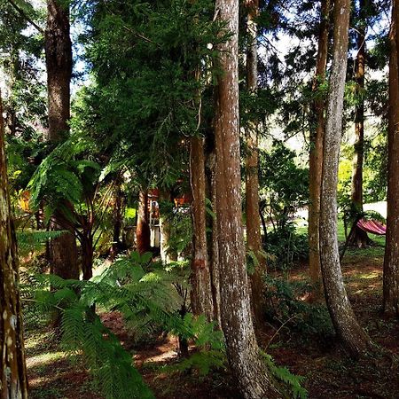 Chalet Des Plaines La Plaine-des-Palmistes Zewnętrze zdjęcie